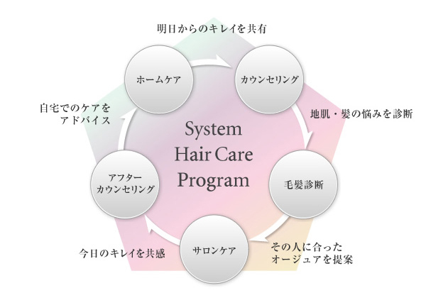 System Hair Care Program